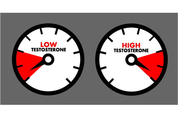 Magnesium increases testosterone