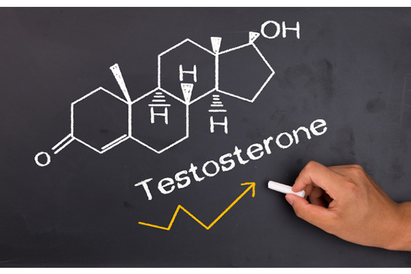 Think, Fenugreek sex testosterone Join. Fenugreek sex testosterone
