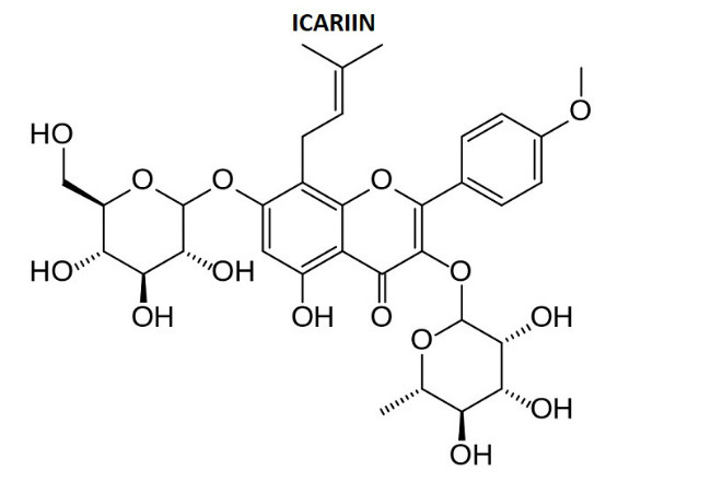 Icariin and Erectile Dysfunction