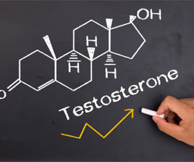 Testosterone